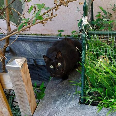 Ferienwohnung Un Insospettabile Angolo Verde In Citta Mailand Exterior foto